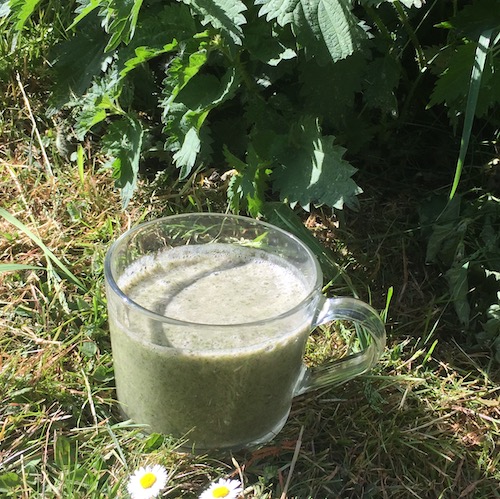 image de l'article smoothie-d-orties