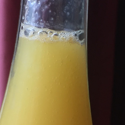 image de l'article atelier-7-la-fermentation-naturelle-des-boissons